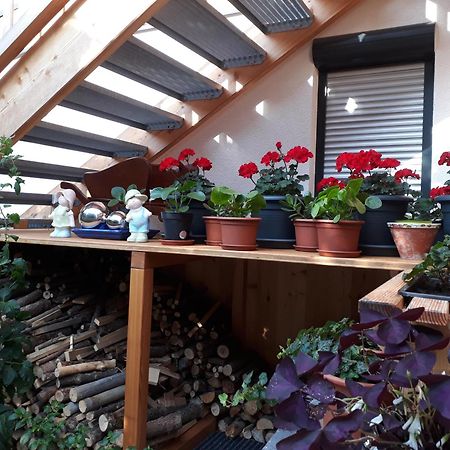 Apartchalet Sisi- Including Saalfelden Leogang Card 외부 사진