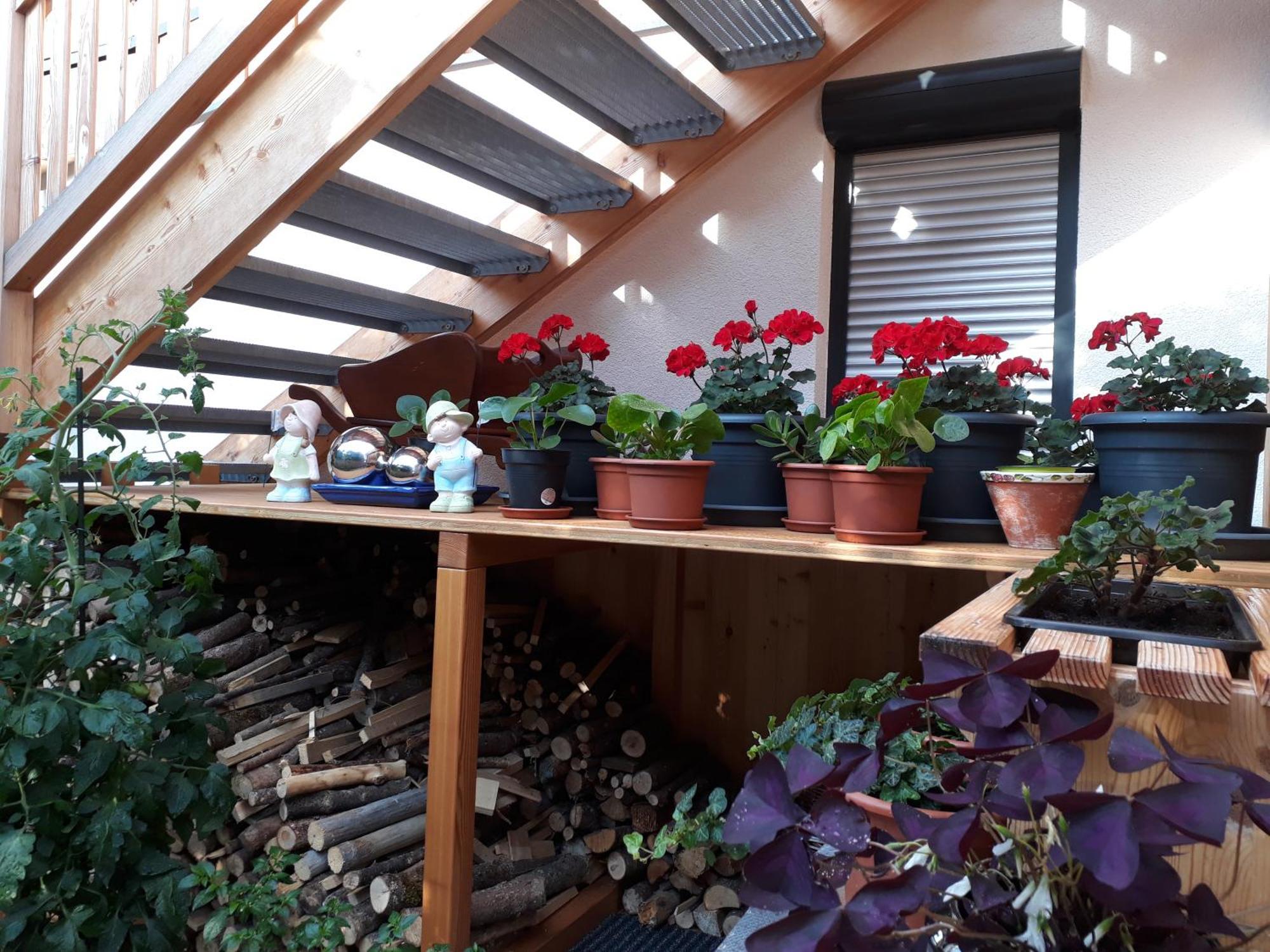 Apartchalet Sisi- Including Saalfelden Leogang Card 외부 사진