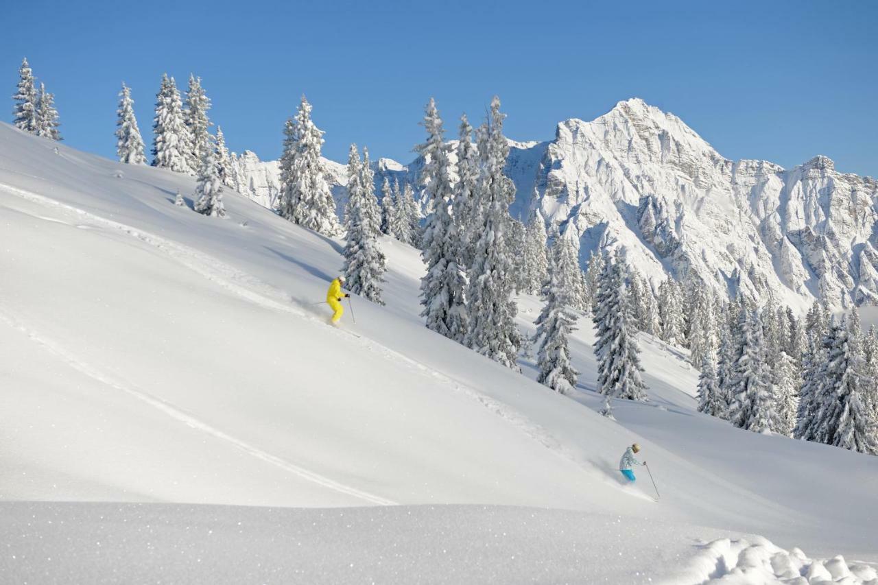 Apartchalet Sisi- Including Saalfelden Leogang Card 외부 사진